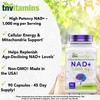 tnvitamins NAD+ Supplement 1,000 mg Per Serving - 90 Count