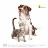 Brillirare 5 Pack Flea Lice Comb, Stainless Steel Dog Cat