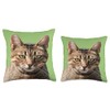 Portrait Of A Cute Tabby Cat With Eye Contact Vector