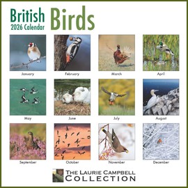 ALLTRADE Calendar 2026 British Birds Premium Large Wall 2026 Calendar UK Holidays MADE IN BRITAIN® Solar Energy FSC® Paper Photos by LAURIE CAMPBELL Supports Woodland Trust Tree Planting (Birds 2026)