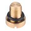 KooingTech Drain Screw, Radiator Expansion Tank with Rubber O-Ring, Mini