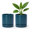 D'vine Dev Set of 2 Plants Pots, 4.7 Inch Ceramic
