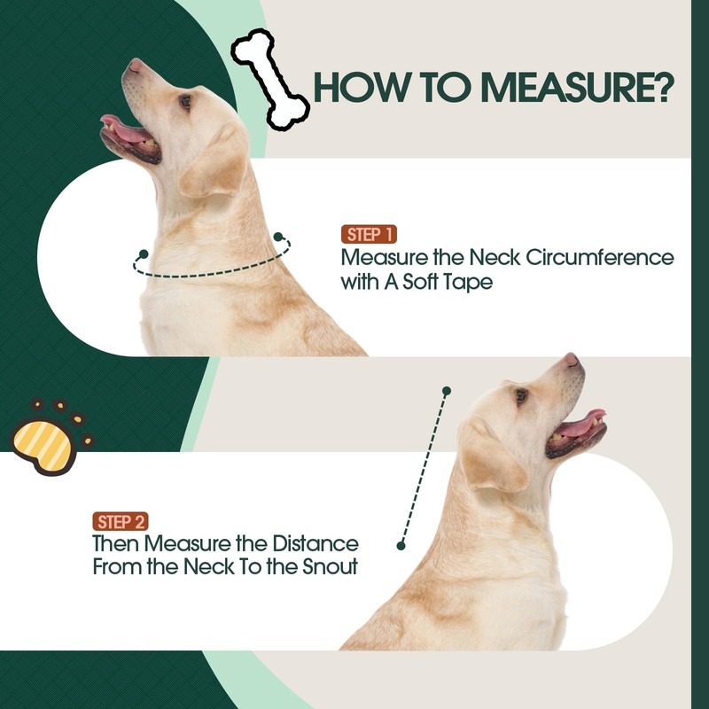 Kuoser Dog Cone Collar After Surgery, Soft Cone for Dogs