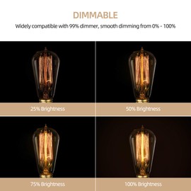 HESSION 6-Pack Edison Light Bulbs, 60w Vintage Edison Bulb, Squirrel Cage Filament Edison Bulbs, E26 Base - Amber Glass Warm White - Dimmable - ST58 Decorative Lightbulbs