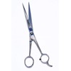 Hair Cutting Scissors - Stainless Steel (7")