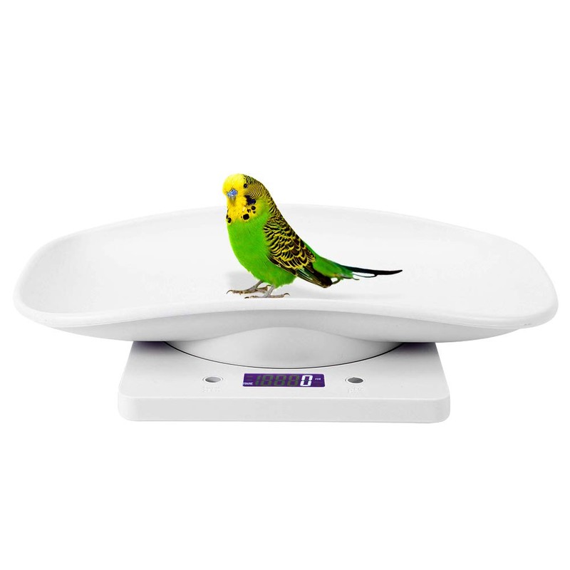 Fdit 10kg/1g Digital Small Pet Weight Toddler Scale Infant Scale