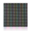 SEZO LED Matrix WS2812B Panel RGB 5050SMD16x16 256 Pixels Digital