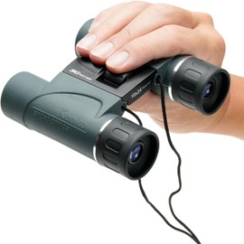 Kenko 012765 SG-H 10x24 10x 24 24 Caliber Daha Prism Dual Axis Compact Lightweight 9.0 oz (258 g) Travel Concert Binoculars