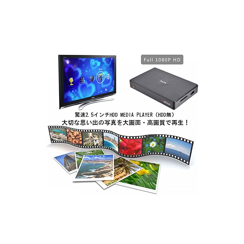 TK-TMP025 Multifunction Portable Media Player 2.5-inch HDD/SD/USB Support, HDMI/VGA/AV Output,