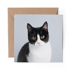 1 x Greeting Card Black & White Cat Kitten Pet - Blank Birthday Celebration Anniversary #15634