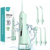 COSLUS Water Dental Flosser Teeth Pick C20(F5020E): Portable Cordless Oral