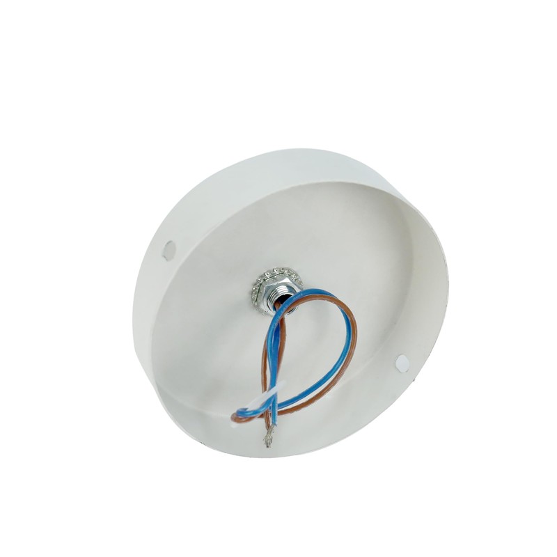 Lexi Lighting Brianna Spot Light, Flush-Mount Round Ceiling Light, 1