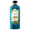 Herbal Essences Bio: Renew Argan Oil of Morocco Repair Shampoo,