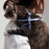 BuddyArmor Cat Harness Escape Proof, Anti-ChokeHarness Adjustable Lightweight Cat Harness