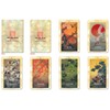 Tarot Card Divination Ito Jakuchu Tarot (Large Arcana Only, 22