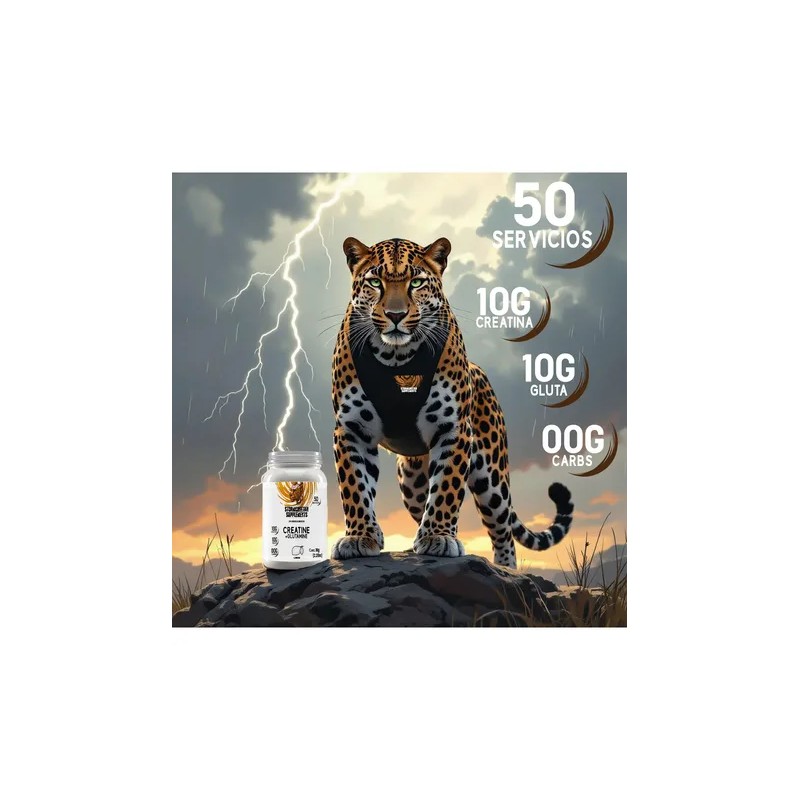 Stormcheetah Suplemento Creatina + Glutamina 1 Kg Sabores