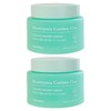 Tony Moly 토니모리 어성초 시카 쿨링 수분 크림 100ml 2개