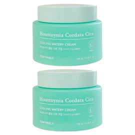Tony Moly 토니모리 어성초 시카 쿨링 수분 크림 100ml 2개 / 써클 Tony Moly Centella Cica Cooling Moisture Cream 100ml 2pcs / Circle