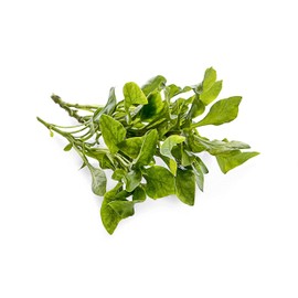 Cress Seeds, 200+ Upland, Heirloom, Non GMO Seeds, Barbarea Verna