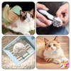 Kitten Starter Kit - 16 Pcs Cat Essentials Set Includes