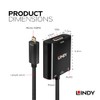 LINDY Micro HDMI (Type-D) to VGA/Audio Active Converter Adapter Cable