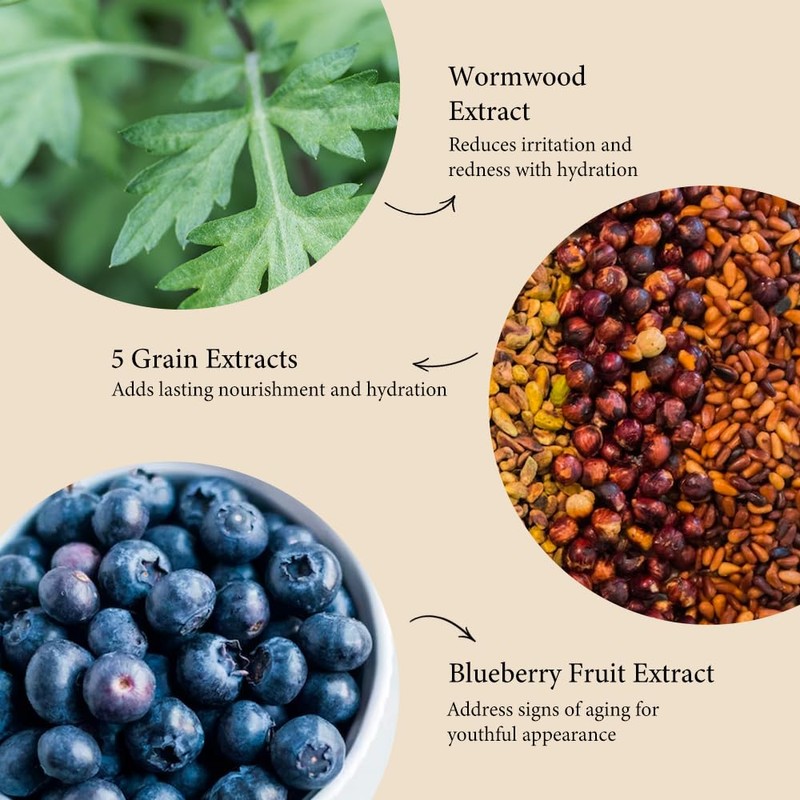 Fraijour Original Herb Wormwood Cleansing Foam 5.07fl.oz/150ml