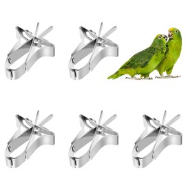 Parrots Fruit Vegetable Feeder Clip 5 Pieces Bird Feeder Device Bird Cage Accessories Metal Clips for Parakeets Budgies Cockatiels
