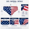 Men’s Swim Briefs for Beach & Pool – American Flag