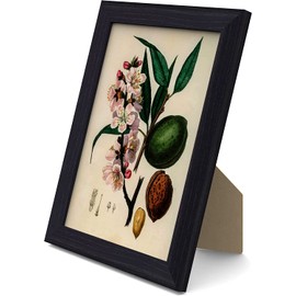 MH Traders Black A5 Picture Frame - Freestanding and Wall Mounted Photo Frame for Pictures Posters & Certificates - 15 x 21 CM A5 Size Compact Picture Frames