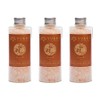 Ryukyu Aroma Bath Salt Thida Sun (240g) × 3 / 류큐 아로마 목욕 소금 티다 태양 (240g) × 3