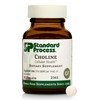 Standard Process Choline - Supports Healthy Fat Metabolism, Liver Health
