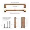 TUNNY 10 Pack Modern Cabinet Handles-3.8"/96mm Screw Spacing Matte Champagne