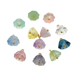Boranran 50pcs Lotus Seed Pod Glass Pendant Charms, Multicolor Botanical Drops (10x11mm)