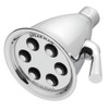 Icon Anystream 3-Spray Polished Chrome Low Flow Shower Head 2.0-GPM