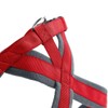 Hunter London Comfort Harness S-M/1