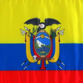 2 Pack Car Flags,Car Flag Ecuador Flag Outdoor with Ecuadorian Flag and Car Flag Pole, Car Logo Window Clip Can be Clipped to Most Windows 14 inch Flag Pole and 16 x 10 inch Double Sided Flag.