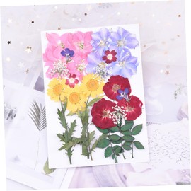 TOVINANNA 2 Sheets 24pcs Facial Stickers Laptop Decals Flower Face Stickers Flower Temporary Flower Sticker Laptop Sticker Flower Applique Handmade Stickers Specimen Flowers