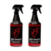 Boat Bling Hot Sauce Premium Hard Water Spot Remover w/High-Gloss