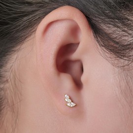 Limerencia Implant Grade Pure Titanium Studs, F136 Hypoallergenic G23 Small Dainty Cubic Zirconia Earrings for Women's Sensitive Ears(HKZ C)