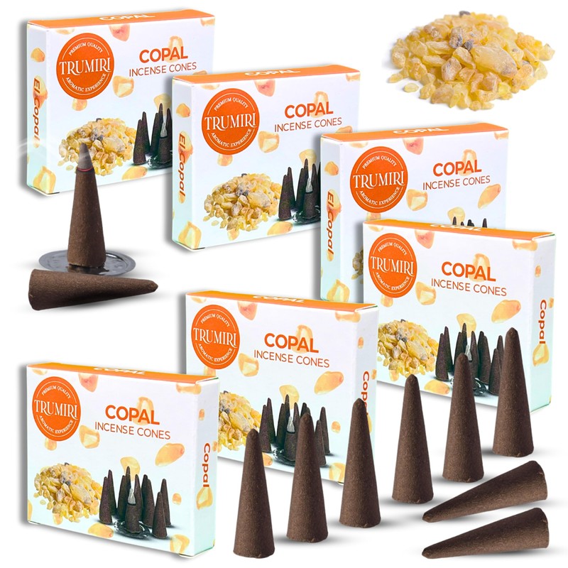 Copal Incense Cones - 60 Pack (10 Cones Each) -
