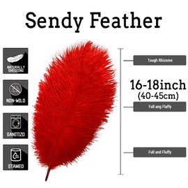 10pcs Natural Red Ostrich Feathers 16-18inch 40-45cm for Wedding Party Centerpieces, Easter Home Decorations