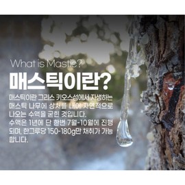 Premium Gastric Mastic Gum Extract Mastic Gum Mastic 180 Tablets / 프리미엄 위 매스틱 검 추출물 메스틱 검 마스틱 180정