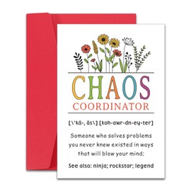 Raddimelo Chaos Coordinator Cards, Leadership Gifts, Cards for Coworkers, Thank You Cards for Leader Coworkers, Boss Gifts for Women, Boss Day Gifts for Boss Boss Lady Leader, Birthday Gifts