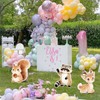6 pezzi di cuccioli di animali del bosco da 30