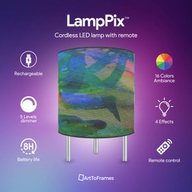LED Desk Lamp Skybird Canvas Printed Table Light Comes with 16 Color Rechargeable Light Bulb with 5 Level Dimmer and Remote Control and Chrome Standoffs. Made in The USA