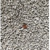Yubonzai 3/8" - 1/2" Medium Horticultural Pumice for Cactus &