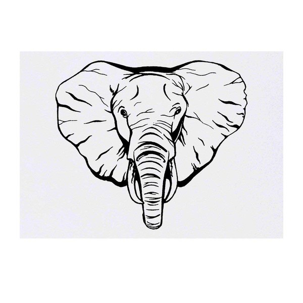 Azeeda Large 'Elephant Face' Temporary Tattoo (TO00023280)