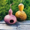 Womack Farm Birdhouse Gourd, 15 Seeds. Free Shipping, USA.