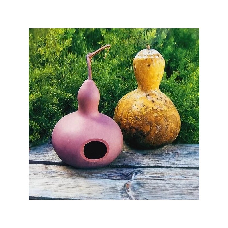 Womack Farm Birdhouse Gourd, 15 Seeds. Free Shipping, USA.