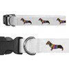 Small 'Dachshund In Rainbow Coat' Dog Collar (PR00023163)